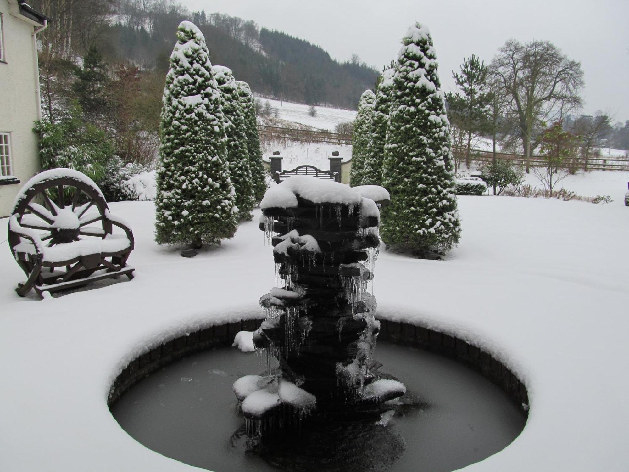 Wild Pheasant Hotel & Spa Llangollen Bagian luar foto